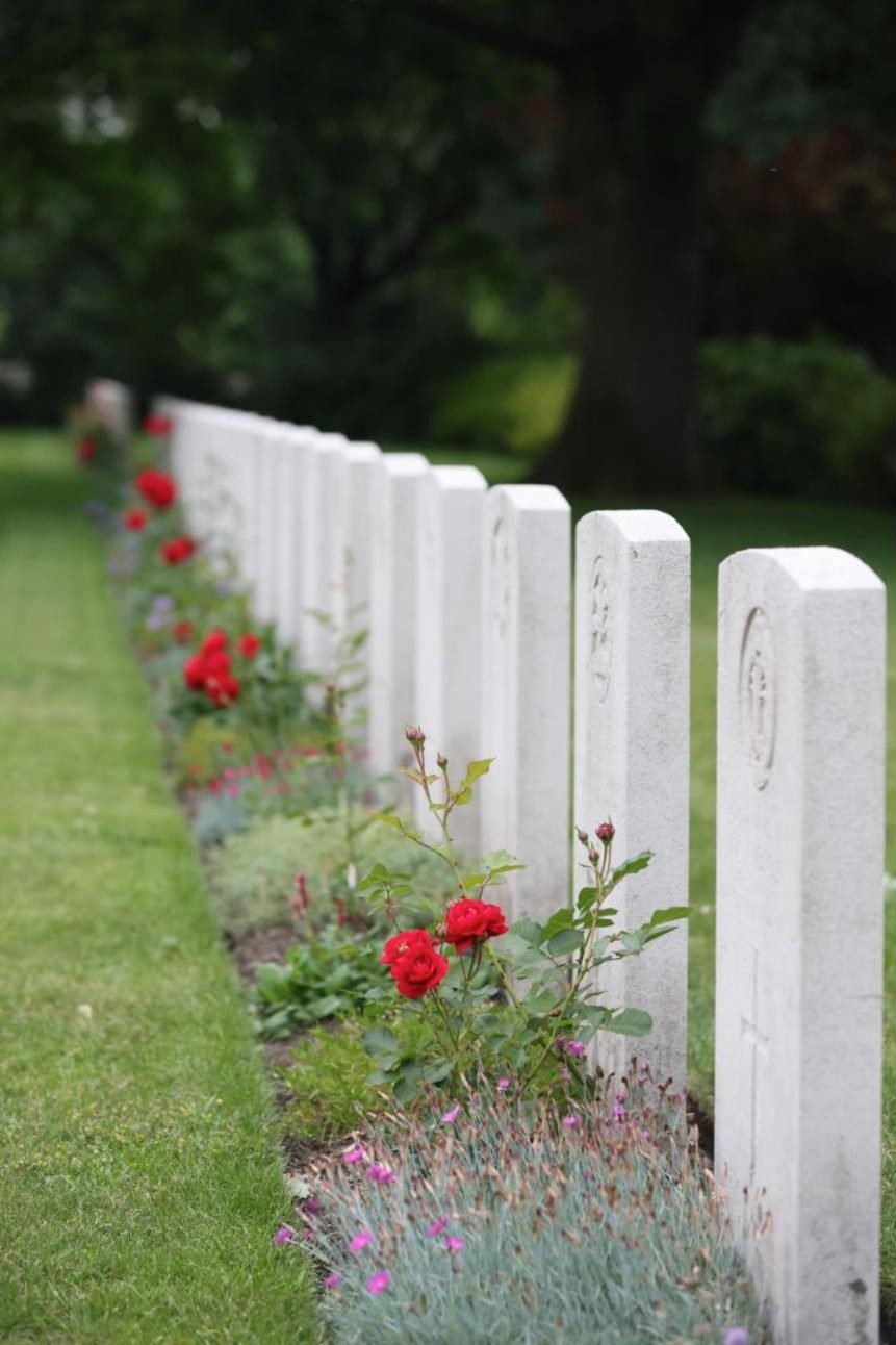 A row of white headstones lined with red roses and summer flowers